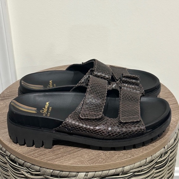 Sam Edelman Shoes - Sam Edelman Women’s Eliana Chunky Leather Brown Sandals